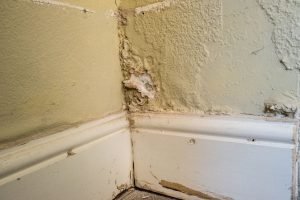 rising-damp