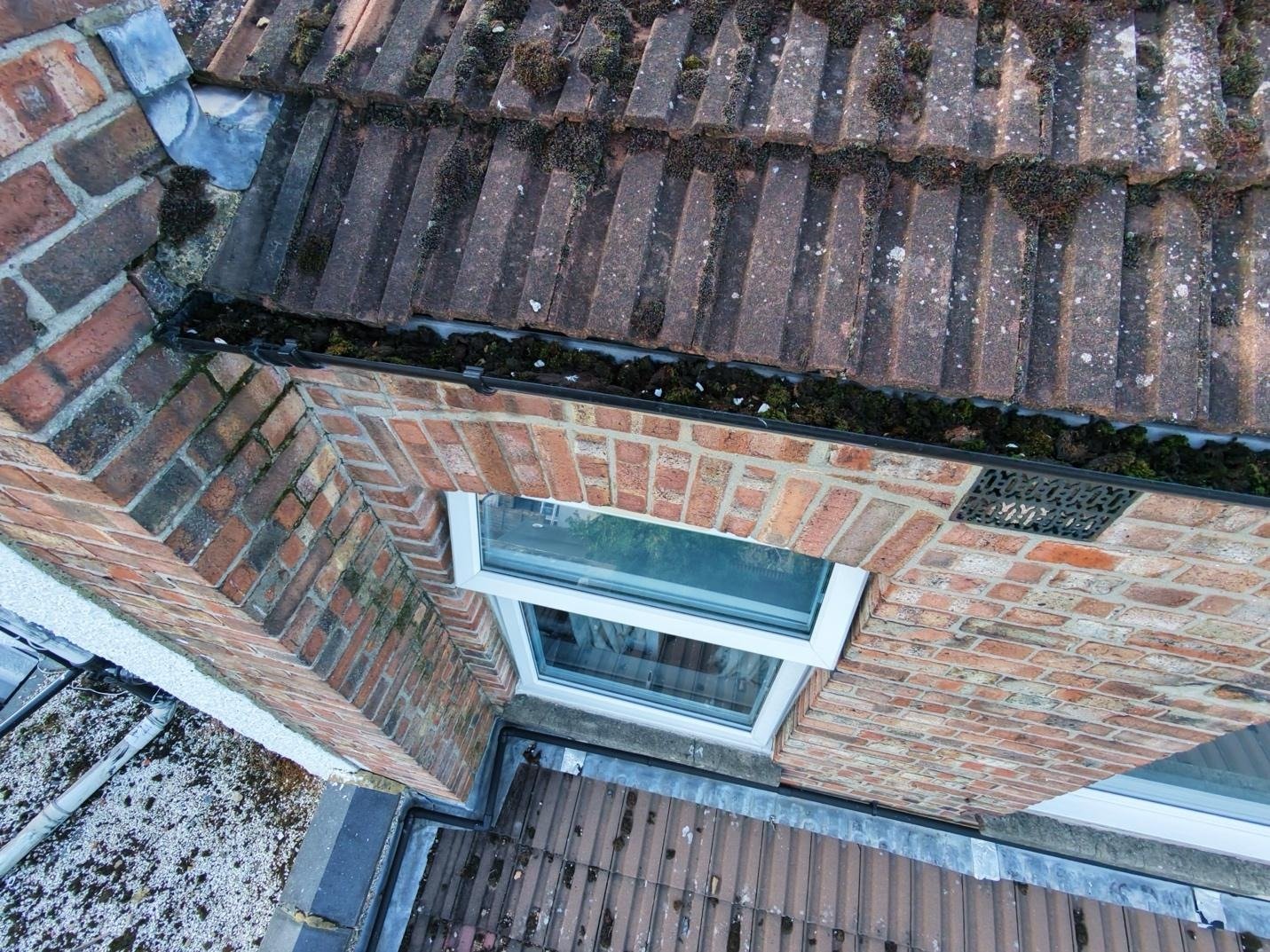 Level 3 Damp Survey in West Ealing (W13)